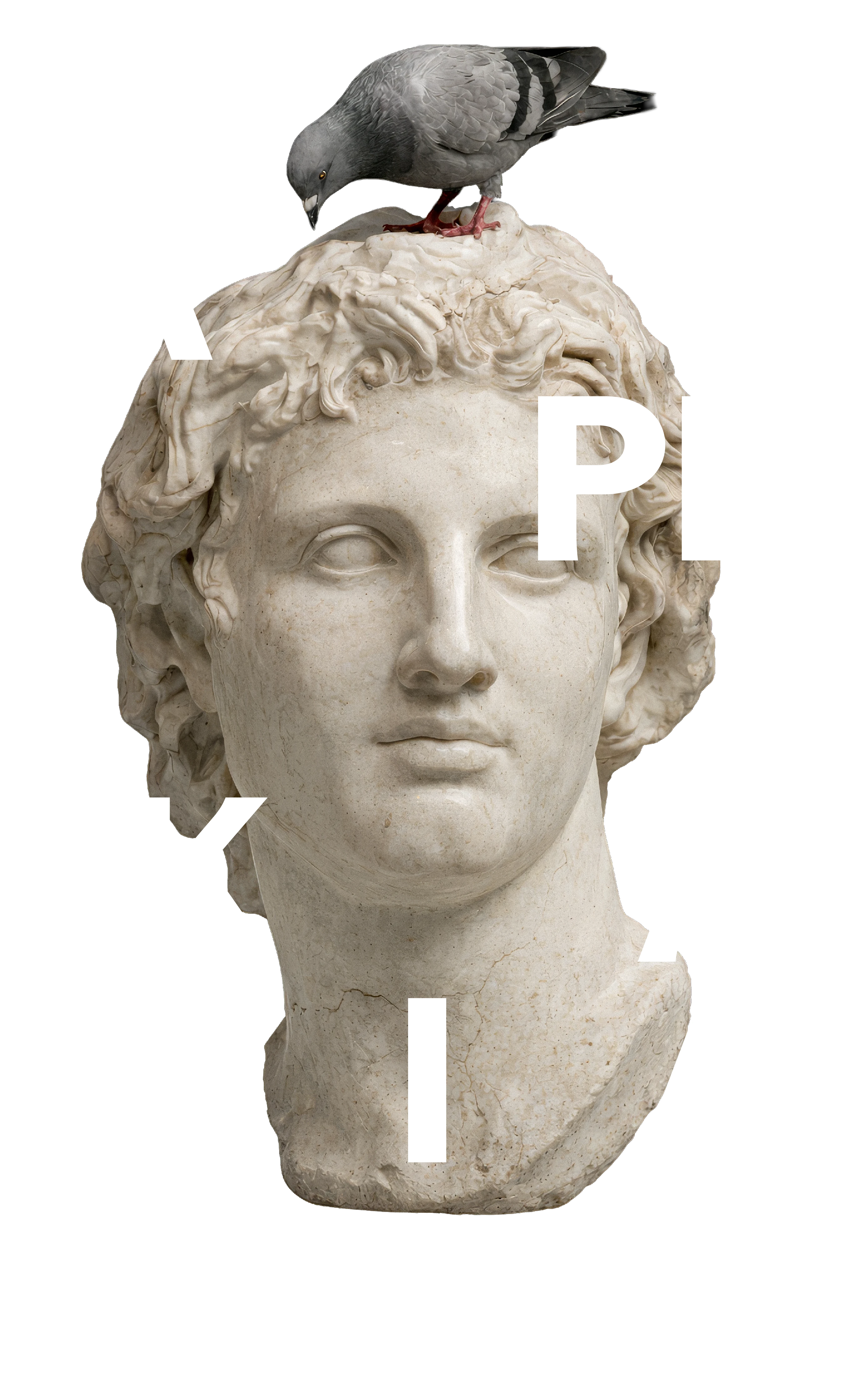 Aplikácia Busta Busta Alexandra Veľkého aj s holubom