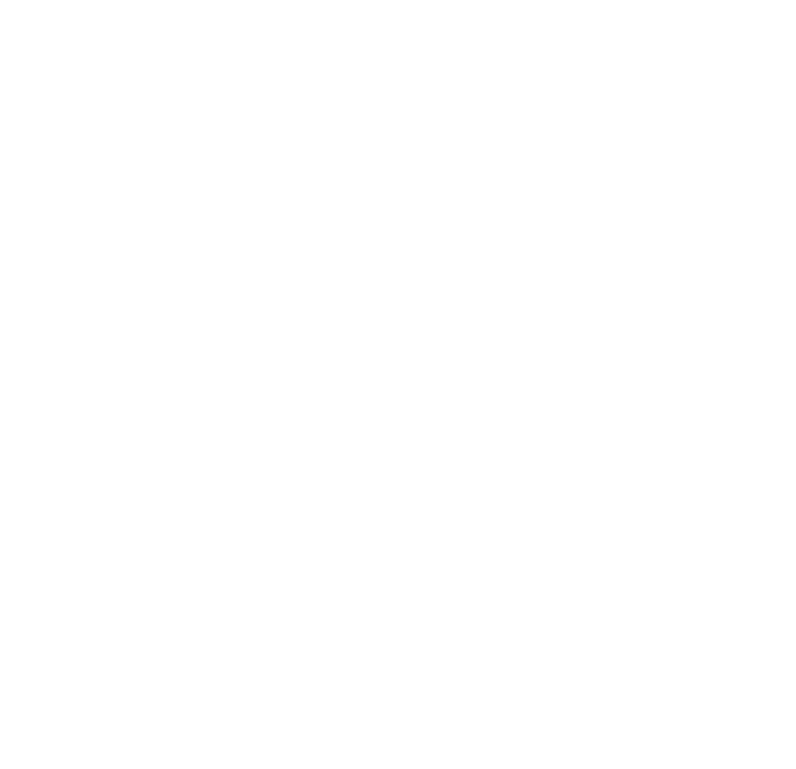 Twin City Logo White Twin City Logo White